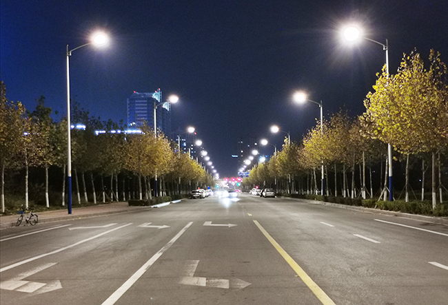 山东省鄄城县PPP项目舜耕路照明工程
