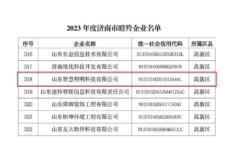 【2024-04-09】喜讯！山东智慧照明科技有限公司被认定为济南市瞪羚企业C.jpg