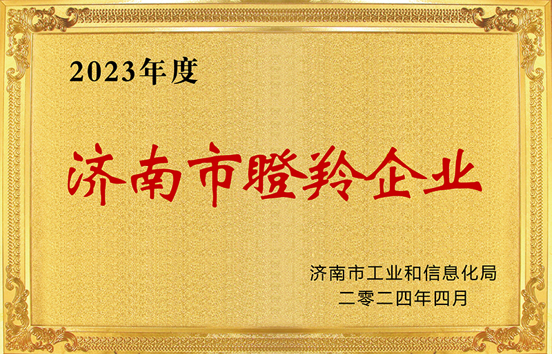 【2024-04-09】喜讯！山东智慧照明科技有限公司被认定为济南市瞪羚企业D.jpg