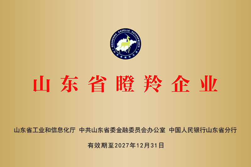 【2024-12-31】喜报！山东智慧照明科技有限公司被认定为山东省瞪羚企业D.jpg